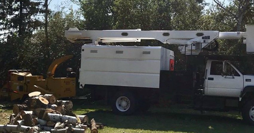 Get Local with KamloopsBCNow: Featuring Twin Rivers Tree Service and Landscaping