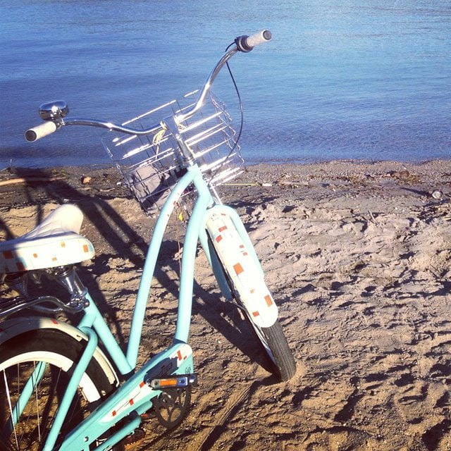 <who> Photo Credit: Chloe Szakacs </who> Szakacs bike was stolen from her gated backyard.