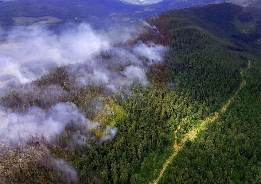 <who>Photo Credit: BC Wildfire Service</who>The Hobo Creek wildfire in 12 kilometres west of Highway 95 and approximately 35 kilometres south east of Golden in the Southeast Fire Centre. 