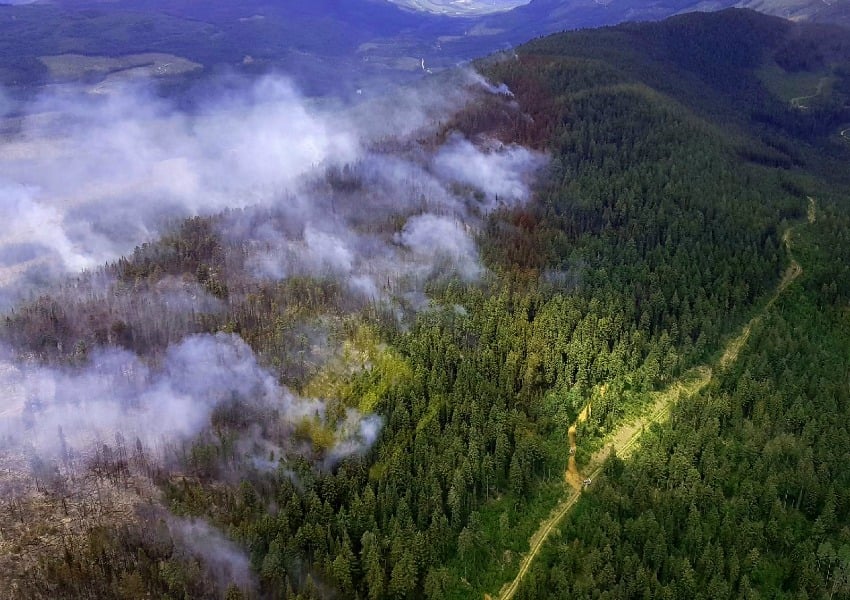 The Hobo Creek wildfire in 12 kilometres west of Highway 95 and approximately 35 kilometres south east of Golden in the Southeast Fire Centre.