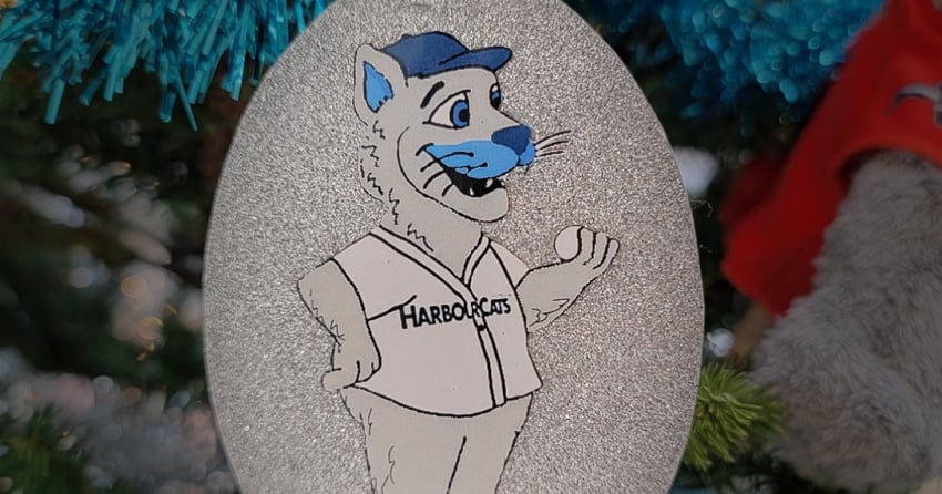 HarbourCats to give back with New Year’s Day food drive