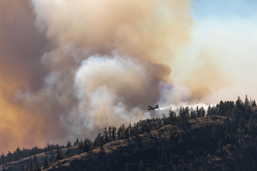 Photo Credit: NowMedia/Gord Goble</who>