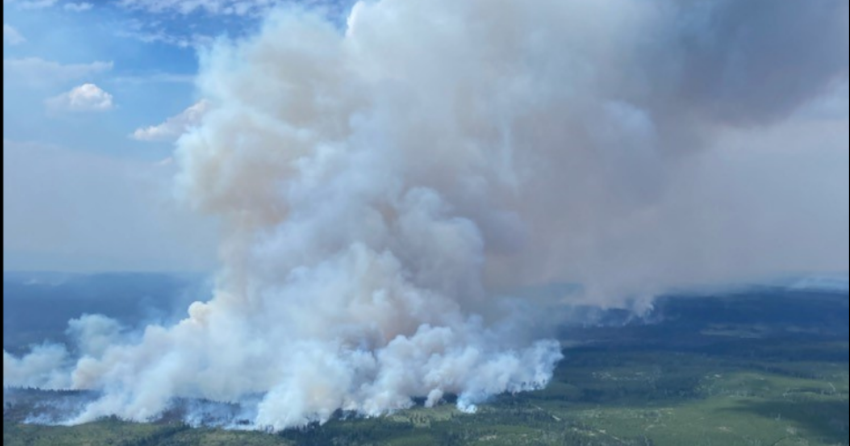 <who> Photo Credit: BCWS / Planned ignition the Gisborne area to secure containment lines