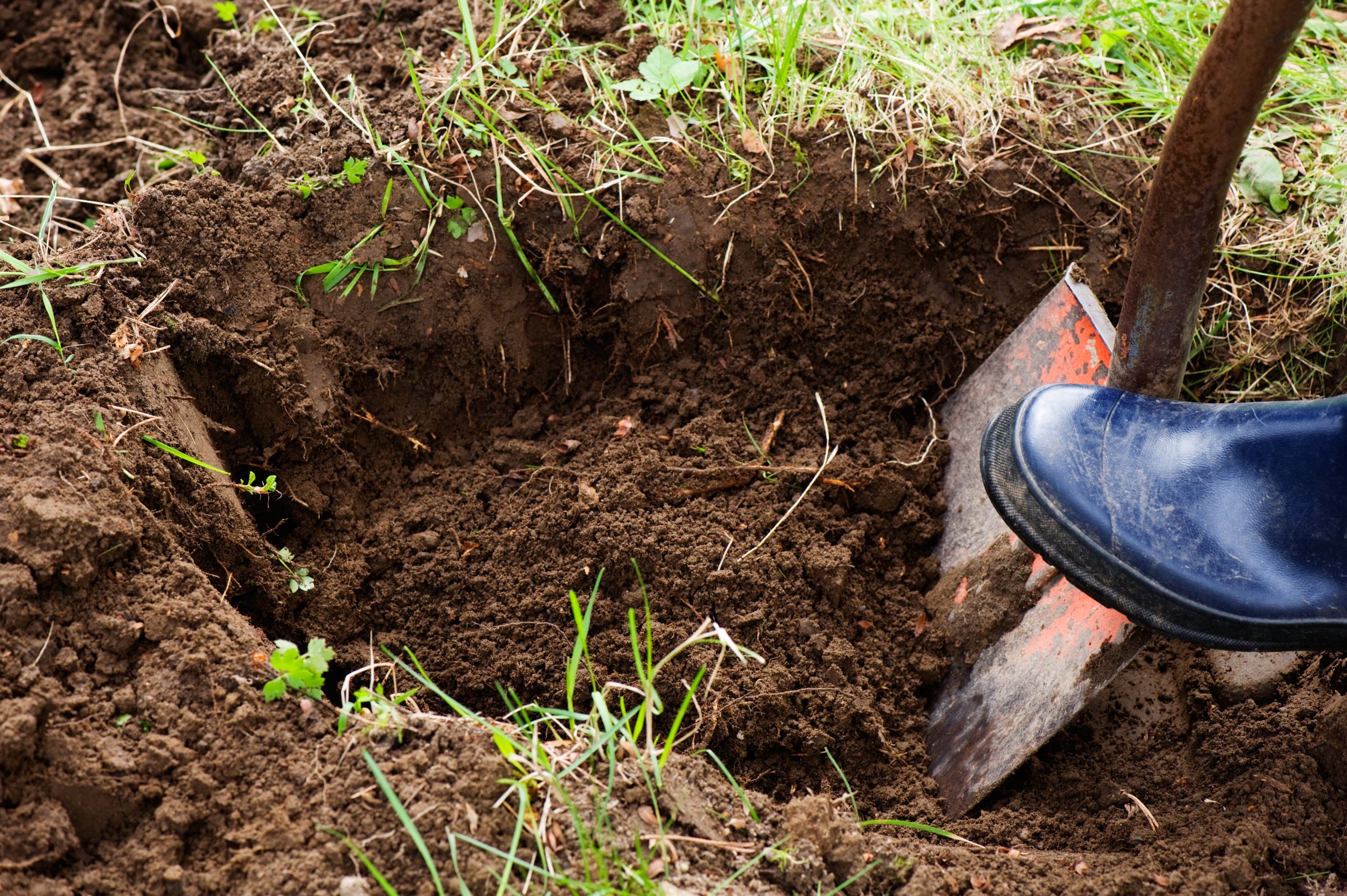 BC residents reminded to call before they dig
