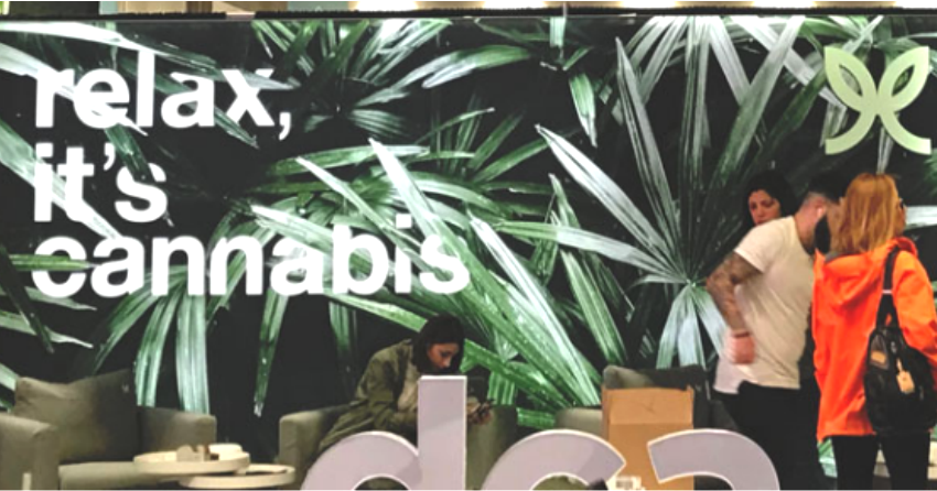 PODCAST: Finding creative solutions for cannabis brands
