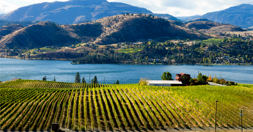 Week 3 of your BC wine touring itinerary