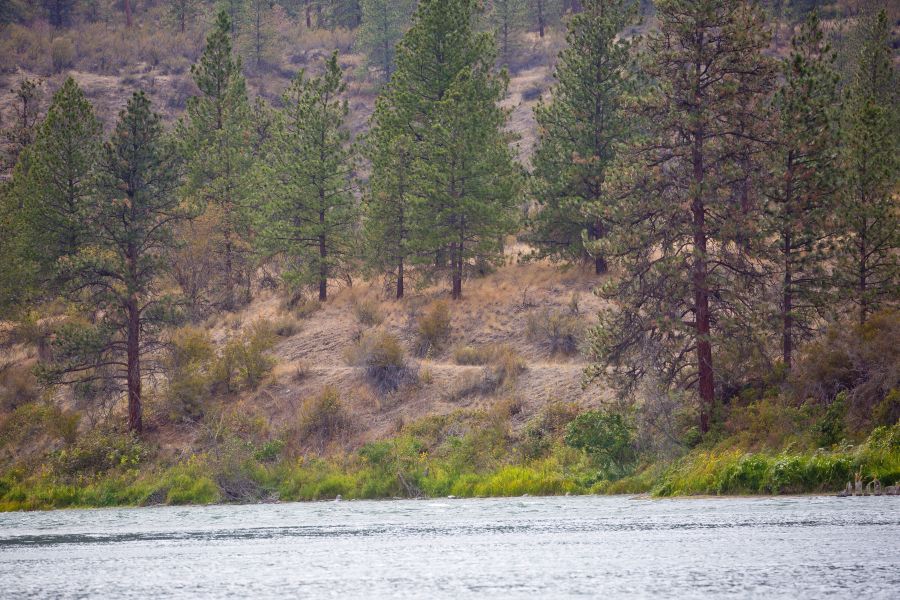 <who>Photo Credit: NowMedia</who> View from Hwy 07 across Vaseux Lake to old rail bed