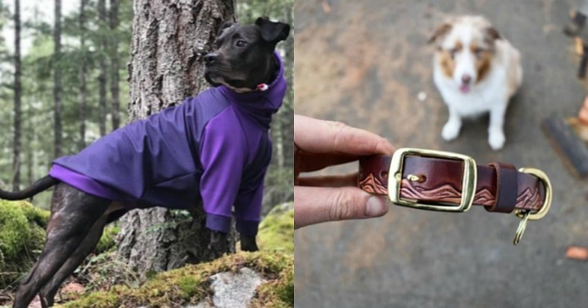 Your 2018 gift guide for pets and pet lovers