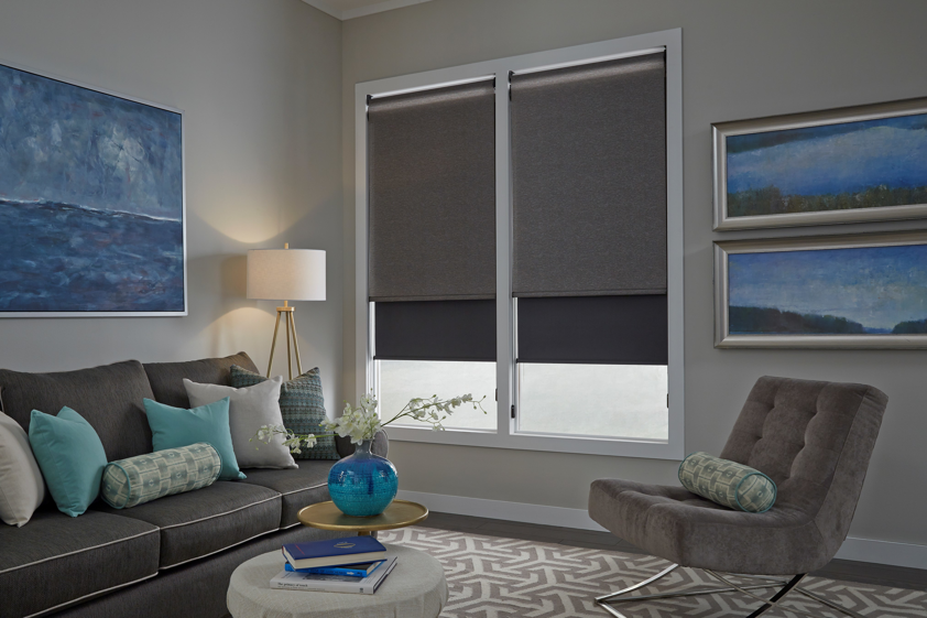 <who>Photo Credit: Budget Blinds</who>Dual Roller Shade in Living Room