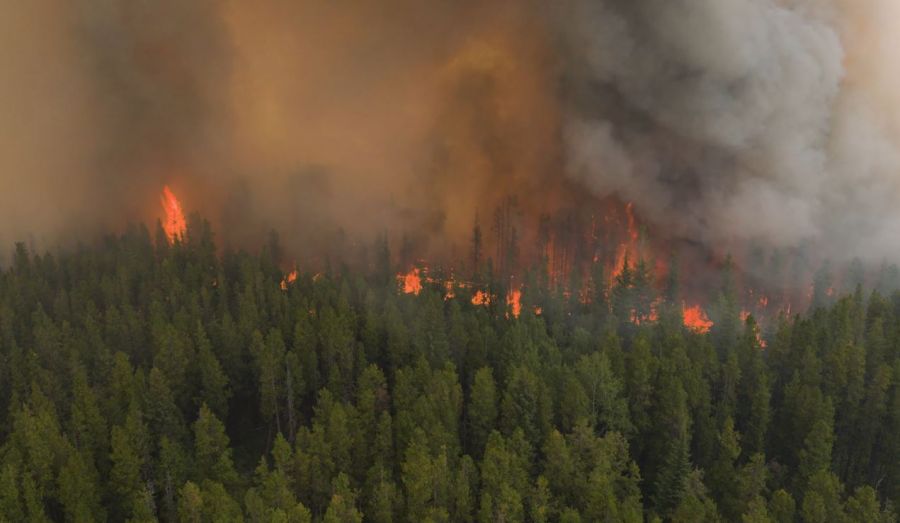 <who>Photo Credit: BC Wildfire Service/screenshot</who>Fire activity last week.