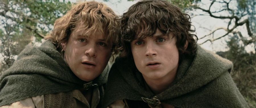 <who>Photo Credit: Social media</who>Samwise Gamgee and Frodo Baggins 