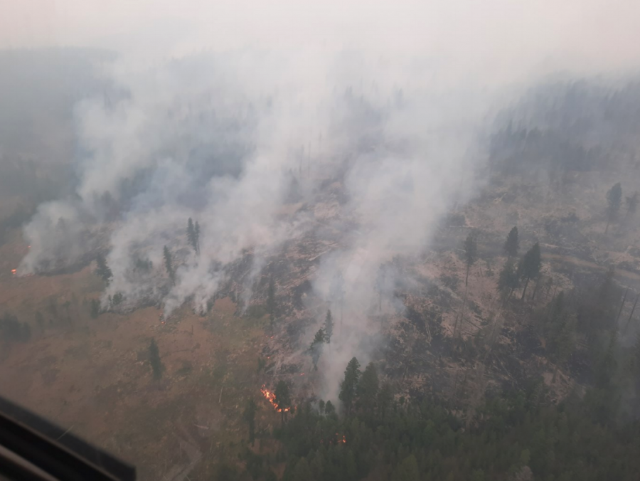 <who> Photo credit: BCWS </who> The latest image of the fire provided by BCWS.
