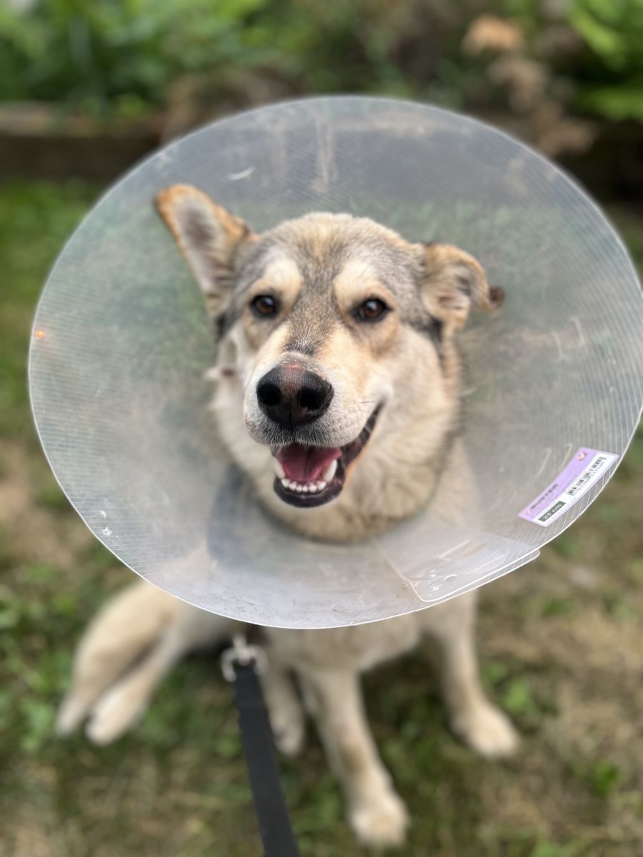Saki smiling with a cone on her head.