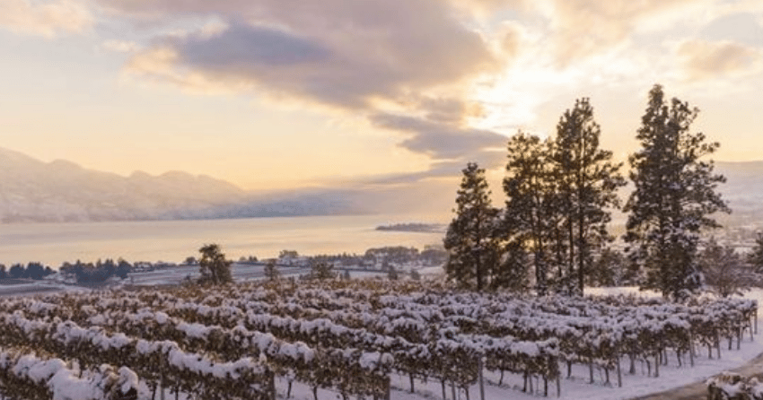 PHOTOS: Stunning winter views in honour of ‘World Snow Day’