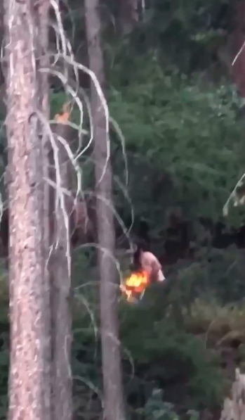 <who> Photo Credit: Andrew Lee </who> A snap from the video purporting to show a man attempting to set a fire.