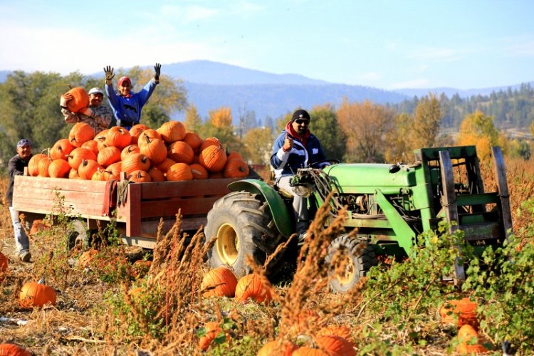 <who>Photo Credit: KelownaNow</who>