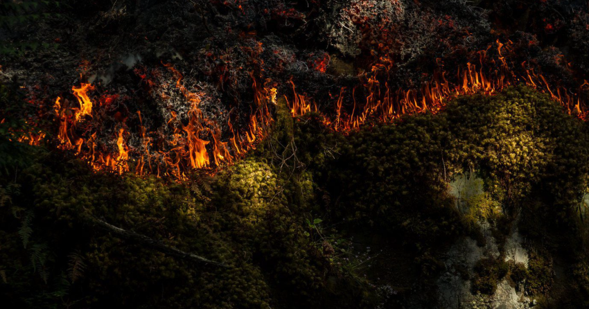 Wildfire photo wins national award for BC photographer