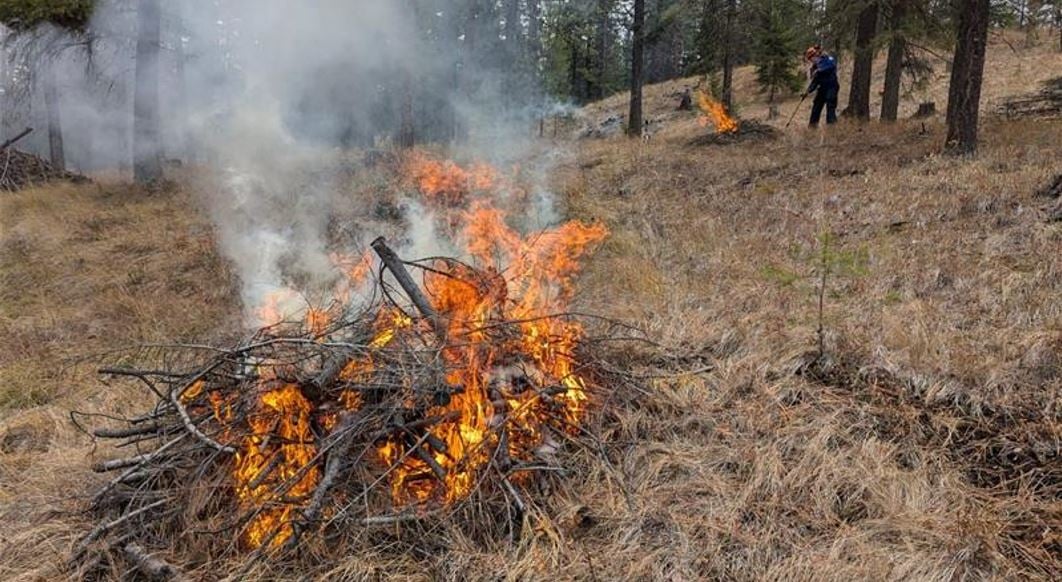 Lake Country pile burning project set to begin today