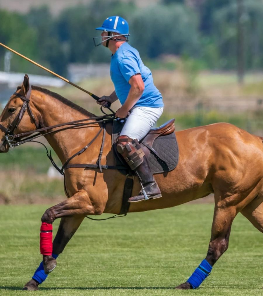 <who> Photo Contributed