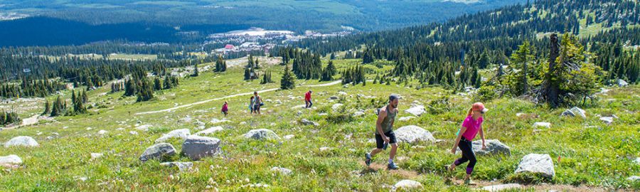 Falcon Ridge Trail