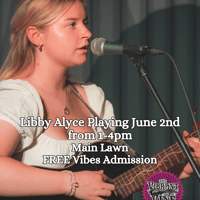 Vibes at the Vine - Libby Alyce