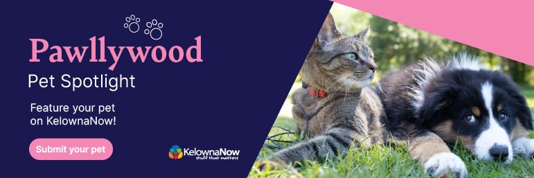 Click here to submit your pet!