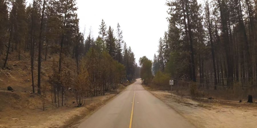 <who>Photo Credit: BC Wildfire Service/screenshot
