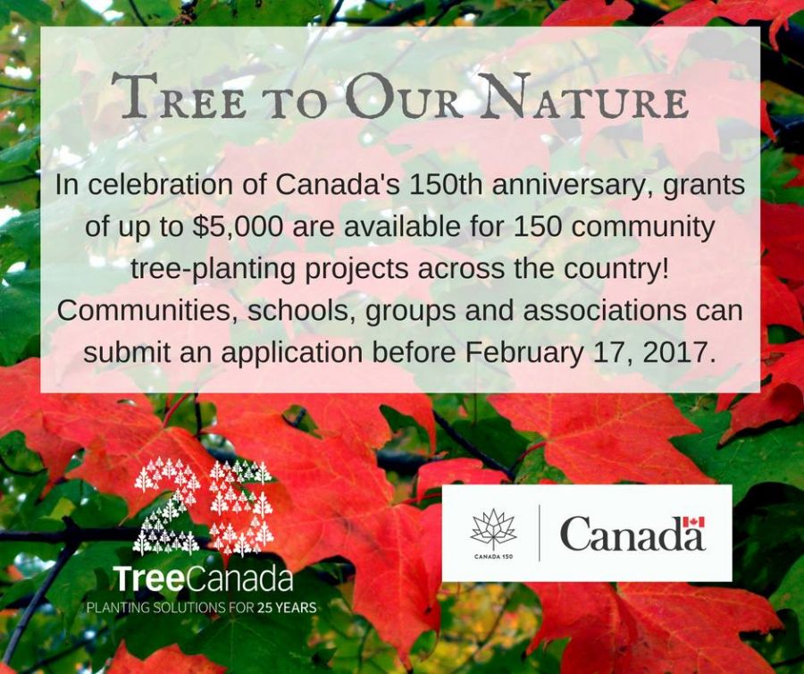 <who>Photo Credit: Tree Canada Facebook page