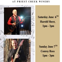 live music in the vineyard