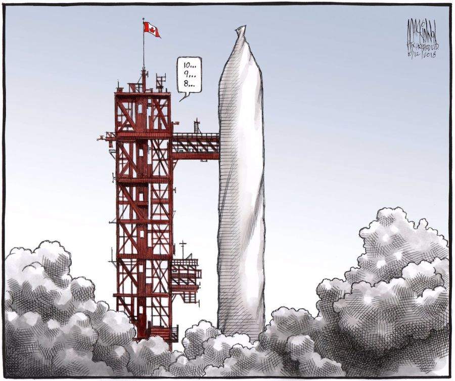 <who> Photo Credit: Bruce MacKinnon - Twitter. 