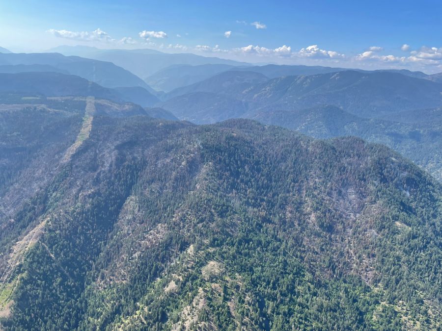 <who>Photo Credit: BCWS