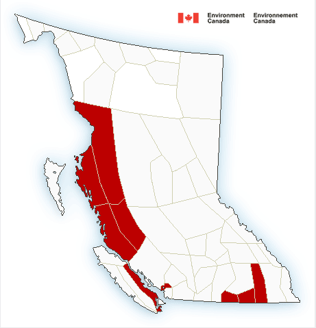 UPDATE: Snowfall warnings end for BC Interior as weather system moves east