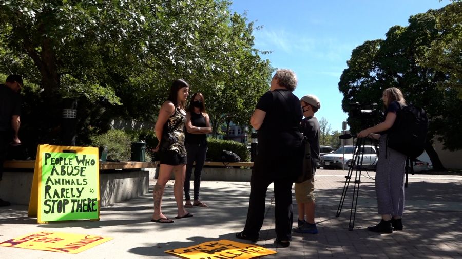 <who>Photo credit: NowMedia </who>