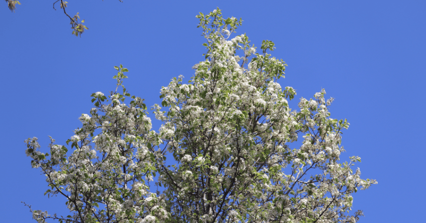 Kelowna weather: Sunshine to start the weekend