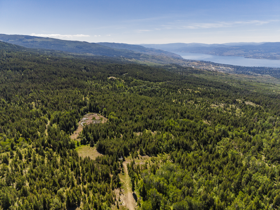 </who>Another view of the 32 hectares with Okanagan Lake in the background.