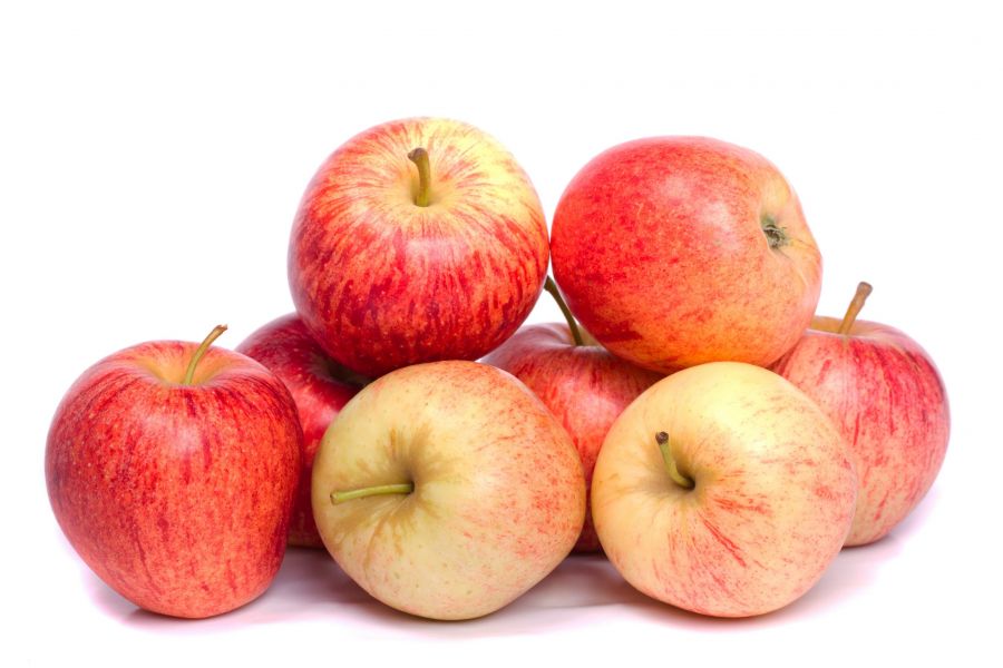 </who>Gala is the most grown apple variety in the Okanagan, followed by Ambrosia, Spartan and McIntosh (Mac).