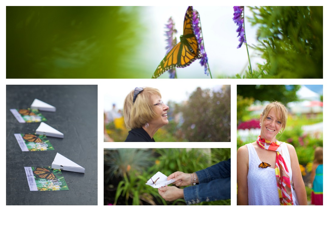 Kelowna gathers to release butterflies for lost loved ones