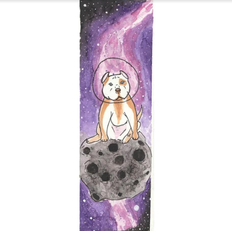 <Who> Photo Credit: Kaitlin Vander Wal