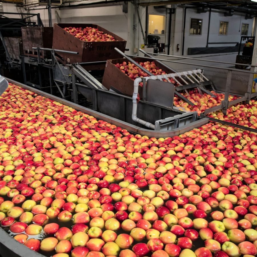 </who>BC Tree Fruits has two packinghouses in the Okanagan in Winfield and Oliver where 100 million pounds of tree fruits, mostly apples, are packaged.