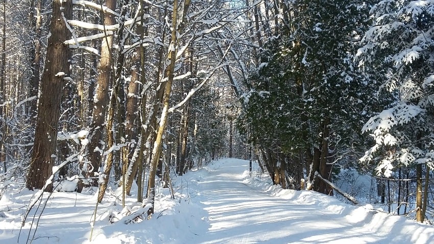 Extreme cold in northern Ontario.