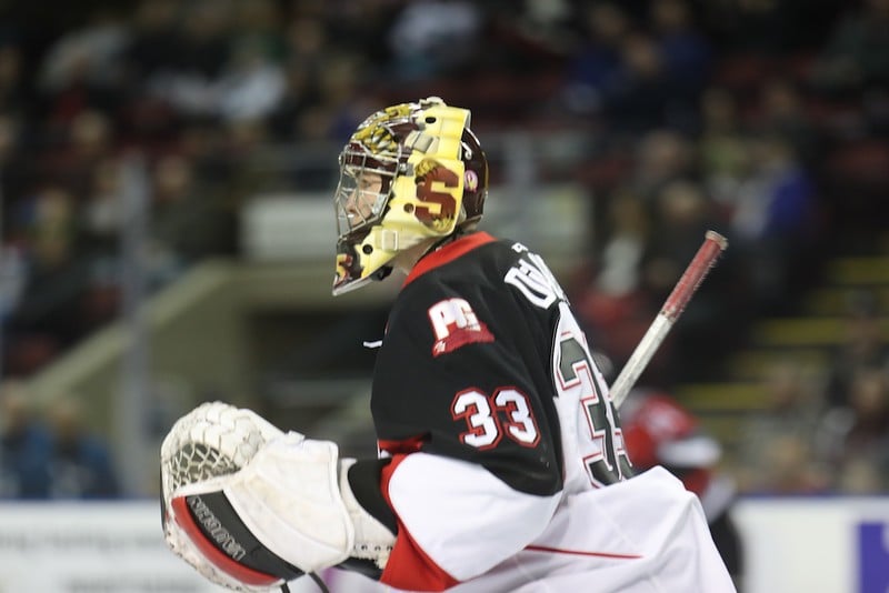 Goaltender, Nick McBride for the Prince George Cougars.