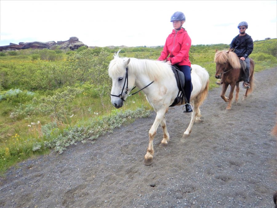 </who>There's nothing like seeing Iceland from the back of an Icelandic horse.