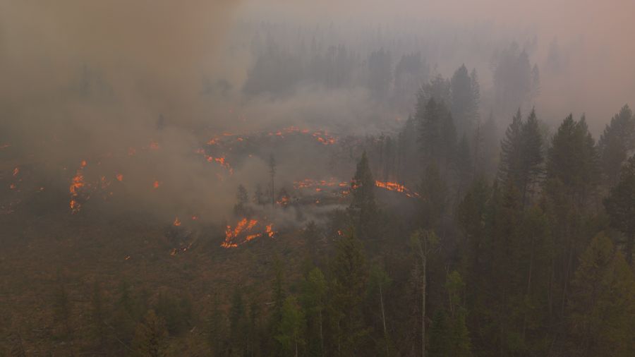 <who>Photo Credit: BC Wildfire Service</who>The western flank of the Bald Range wildfire earlier this week.