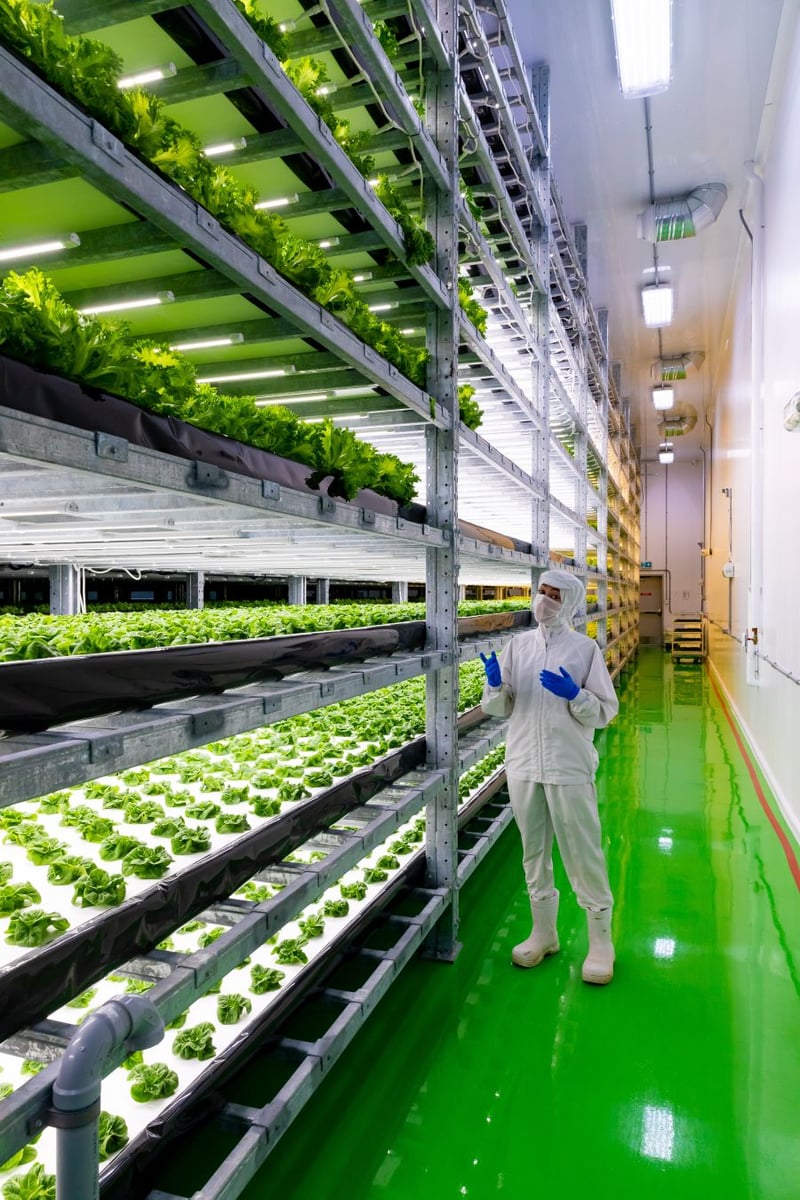 <who>Photo Credit: NowMedia/Gord Goble</who> Inside Avery Family Farms 