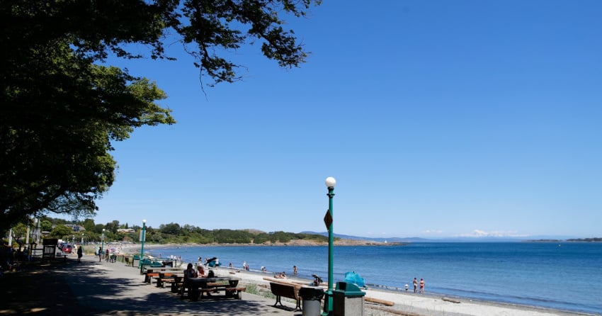 Swimming not recommended after high levels of bacteria found at Willows Beach 