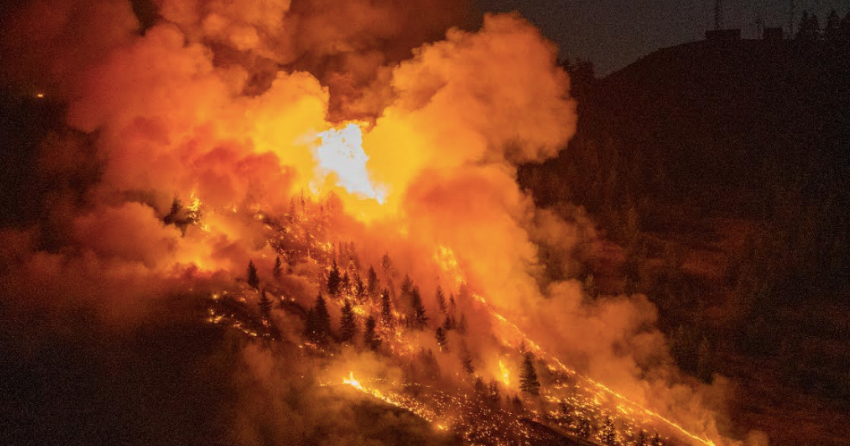 PHOTOS: Mesmerizing shots of the Coldstream wildfire