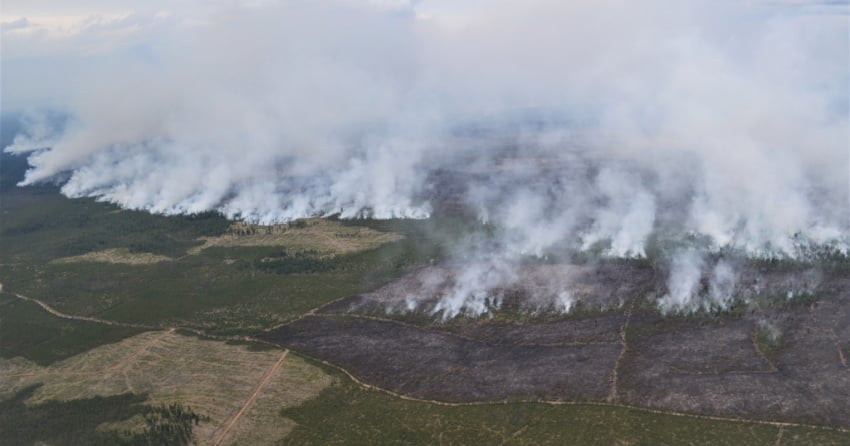 <who> Photo Credit: BC Wildfire Service</who> Example of planned ignitions that occurred on Aug. 6