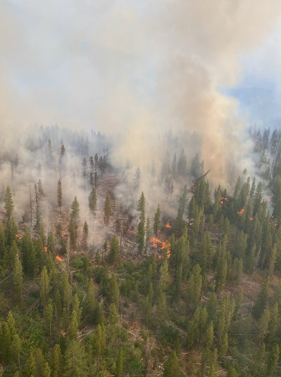 <who>Photo Credit: BC Wildfire Service</who>The Ainslie Creek wildfire, which started in the Boston Bar and has since grown to nearly 55,000 hectares, has been one of BC's biggest wildfires this year.