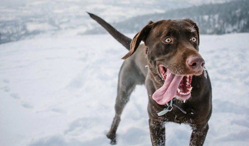 Top 10 essentials for a walk in the woods