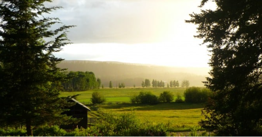 Family in the BC Interior celebrates 100 years of ranching